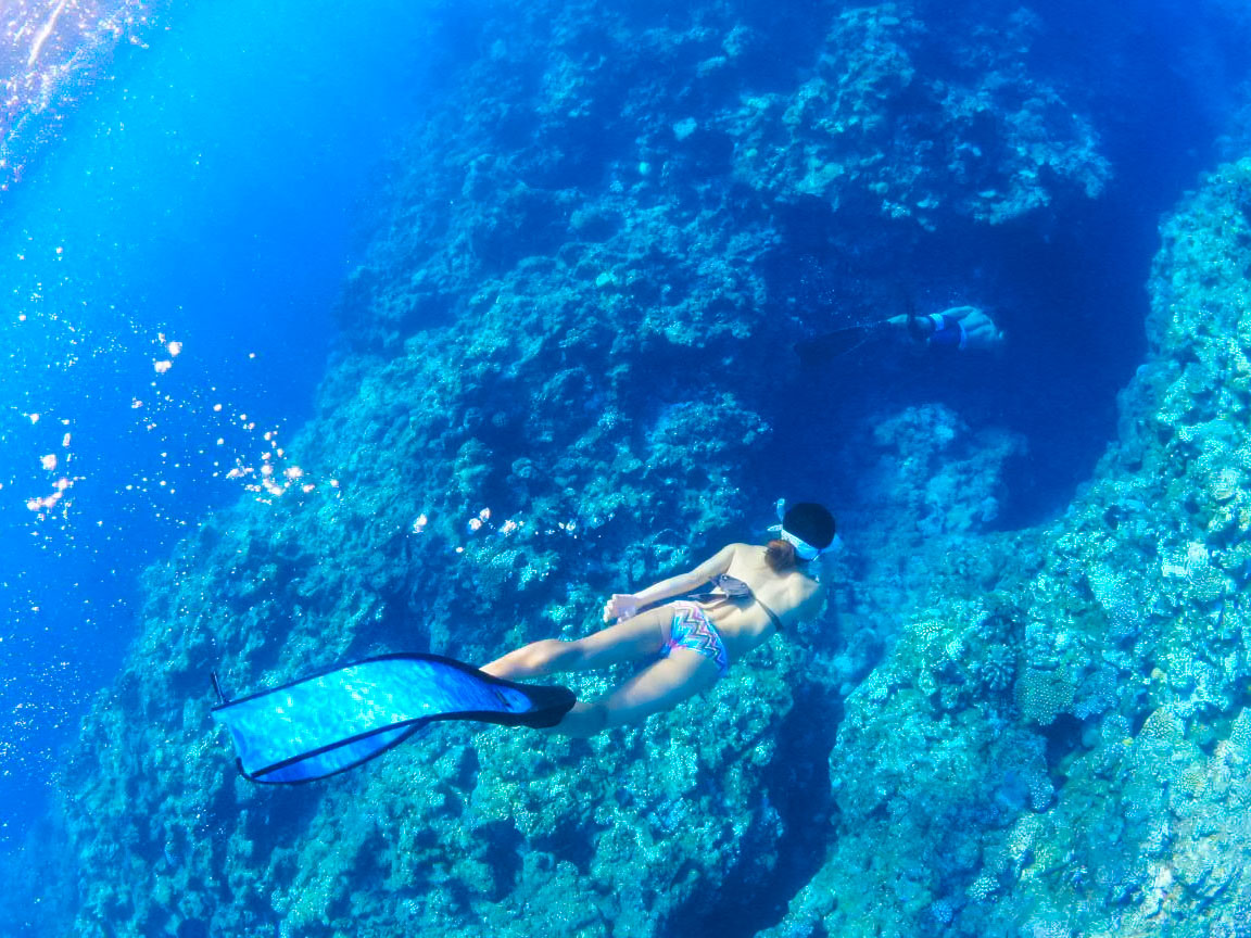 石垣島でシュノーケリング スキンダイビング ファウスト石垣島