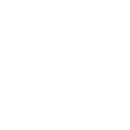 ファウスト石垣島