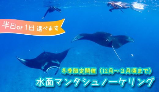 冬季限定開催12月〜3月頃まで 水面マンタシュノーケル